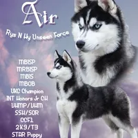 processed/d539a974-66a1-4240-af3d-2df7b3467f60/facility/b2b079ee-a8b6-4573-90c1-528dbbaab7ff