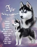 processed/d539a974-66a1-4240-af3d-2df7b3467f60/facility/b2b079ee-a8b6-4573-90c1-528dbbaab7ff