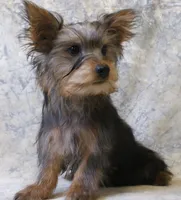 processed/d5427b1e-9636-42cb-aafe-67a107e64ea5/listing/1cb695b8-6070-4f8c-8620-ff957e188051/56bdbe0d-f375-44d8-bcfd-ada716534ad6