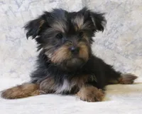 processed/d5427b1e-9636-42cb-aafe-67a107e64ea5/listing/3d7a4b76-ec19-4ceb-b7de-ec8202eabaea/1408e9a3-4010-47a0-af69-553c601e4e8b