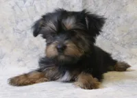 processed/d5427b1e-9636-42cb-aafe-67a107e64ea5/listing/3d7a4b76-ec19-4ceb-b7de-ec8202eabaea/291f8831-6890-4734-9e95-92e296ba5cbc