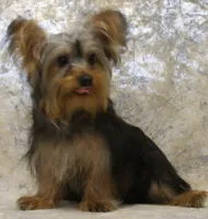 processed/d5427b1e-9636-42cb-aafe-67a107e64ea5/listing/67b28bef-64de-4655-94bf-dd4950bab650/584c23b6-46d9-4c3e-b6e0-f5ec74d443bc