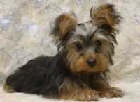 processed/d5427b1e-9636-42cb-aafe-67a107e64ea5/listing/67b28bef-64de-4655-94bf-dd4950bab650/c8a3c065-9a98-4be9-a7f4-32ad3e36c8b5