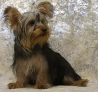 processed/d5427b1e-9636-42cb-aafe-67a107e64ea5/listing/67b28bef-64de-4655-94bf-dd4950bab650/d869274c-b421-4cf3-a643-e56c9e0cce8f