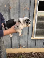 processed/d552a746-0ac4-4c54-be4e-8dd4ce112393/listing/36f6990e-5b30-48f8-b23c-3067dd68dc0a/58cd551b-8bbc-4e82-bf1b-3b57c4d4ae42