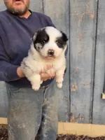 processed/d552a746-0ac4-4c54-be4e-8dd4ce112393/listing/36f6990e-5b30-48f8-b23c-3067dd68dc0a/6317117a-c435-4735-a051-6c9e4c5a4be2