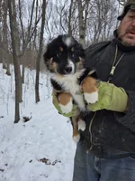 processed/d552a746-0ac4-4c54-be4e-8dd4ce112393/listing/443af8b2-c0da-420d-9236-6de298acab78/0828fd3d-4c53-45aa-af87-75d693f094c2