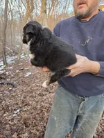 processed/d552a746-0ac4-4c54-be4e-8dd4ce112393/listing/443af8b2-c0da-420d-9236-6de298acab78/b367d923-5b33-4edc-9e99-8dd2b23a2513