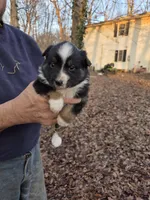 processed/d552a746-0ac4-4c54-be4e-8dd4ce112393/listing/443af8b2-c0da-420d-9236-6de298acab78/e3ec92f7-f023-4d76-9be1-58e5967e7160