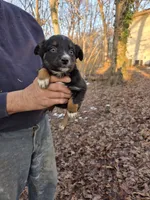 processed/d552a746-0ac4-4c54-be4e-8dd4ce112393/listing/447fab52-2e71-4d2d-bdbe-ff00f549923b/396c9c47-19b5-4319-9227-fc1b8380f8b5