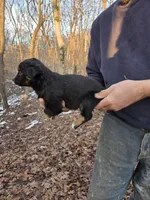 processed/d552a746-0ac4-4c54-be4e-8dd4ce112393/listing/447fab52-2e71-4d2d-bdbe-ff00f549923b/537b7d4a-cf95-4fba-b2ae-2e6ab6ccc601