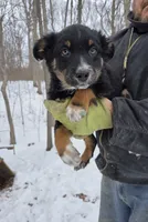 processed/d552a746-0ac4-4c54-be4e-8dd4ce112393/listing/447fab52-2e71-4d2d-bdbe-ff00f549923b/5ff2b6e1-e608-412d-9ca5-9576cda989e0