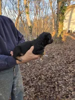 processed/d552a746-0ac4-4c54-be4e-8dd4ce112393/listing/447fab52-2e71-4d2d-bdbe-ff00f549923b/9aa75dea-fe4f-4e8e-93bd-ad7da04b5270