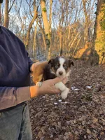 processed/d552a746-0ac4-4c54-be4e-8dd4ce112393/listing/b152f504-4027-459d-a237-c8ab8be29648/80d16917-661d-4ef4-9a2d-0b3fc65b92e9