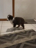 processed/d552a746-0ac4-4c54-be4e-8dd4ce112393/listing/b152f504-4027-459d-a237-c8ab8be29648/8622177e-794a-48f2-bc51-0d3739f8cd6a