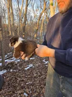 processed/d552a746-0ac4-4c54-be4e-8dd4ce112393/listing/b152f504-4027-459d-a237-c8ab8be29648/984fc591-3514-494e-a9d4-9fa29f35cc28