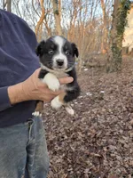 processed/d552a746-0ac4-4c54-be4e-8dd4ce112393/listing/c133c5b6-1eaf-4935-a38d-7c59e370a62c/6c833f29-dd8f-4177-85fb-a9ba48070d6b