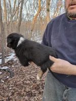 processed/d552a746-0ac4-4c54-be4e-8dd4ce112393/listing/c133c5b6-1eaf-4935-a38d-7c59e370a62c/c23bcfeb-e42c-4ee6-b7b2-2849ad14af7f