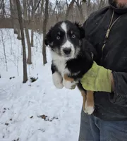 processed/d552a746-0ac4-4c54-be4e-8dd4ce112393/listing/c133c5b6-1eaf-4935-a38d-7c59e370a62c/ed8f0445-d363-407a-94d0-436bef46d06f