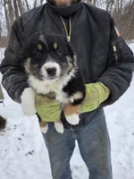 processed/d552a746-0ac4-4c54-be4e-8dd4ce112393/listing/db023571-7588-42c4-a935-7b6a2dd1089a/8200588f-3310-4f1e-b573-6e449da696b3