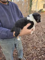 processed/d552a746-0ac4-4c54-be4e-8dd4ce112393/listing/db023571-7588-42c4-a935-7b6a2dd1089a/97939da0-8afa-4d84-be13-2f4355e3f24f