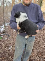 processed/d552a746-0ac4-4c54-be4e-8dd4ce112393/listing/db023571-7588-42c4-a935-7b6a2dd1089a/c6d574af-e271-4f96-a6bd-fefc12ddad0f