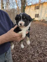 processed/d552a746-0ac4-4c54-be4e-8dd4ce112393/listing/db023571-7588-42c4-a935-7b6a2dd1089a/e258fe2f-df71-48d9-afbe-6f3bc7e2087d