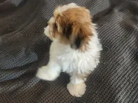 processed/d556be42-26da-4a87-aa8f-3d16c617ad93/listing/205f4f94-7ef4-43b5-a3dd-ecd137955e67/a05798dd-34dc-4c7d-a453-fbc26f27064b