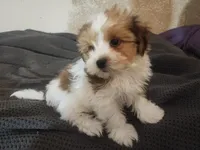 processed/d556be42-26da-4a87-aa8f-3d16c617ad93/listing/205f4f94-7ef4-43b5-a3dd-ecd137955e67/ac4ecd82-563c-47bb-99d5-867197f64208