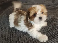 processed/d556be42-26da-4a87-aa8f-3d16c617ad93/listing/205f4f94-7ef4-43b5-a3dd-ecd137955e67/fa3fcb06-98b1-4872-a6b4-81873550caf6