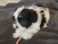 processed/d556be42-26da-4a87-aa8f-3d16c617ad93/listing/4cb72213-57df-4986-acbc-9aa76ff70fe2/24c802da-74ec-4a77-b93c-36651532b42d