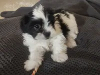 processed/d556be42-26da-4a87-aa8f-3d16c617ad93/listing/4cb72213-57df-4986-acbc-9aa76ff70fe2/48e03cd1-2982-47ee-98da-907ed7cd9e8a