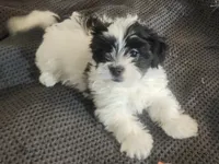 processed/d556be42-26da-4a87-aa8f-3d16c617ad93/listing/4cb72213-57df-4986-acbc-9aa76ff70fe2/c5391899-7914-4336-8d66-12f66497a7e9