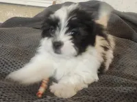 processed/d556be42-26da-4a87-aa8f-3d16c617ad93/listing/4cb72213-57df-4986-acbc-9aa76ff70fe2/d9ed3788-4598-4699-b594-dc15b0cebfc3