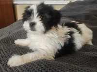 processed/d556be42-26da-4a87-aa8f-3d16c617ad93/listing/4cb72213-57df-4986-acbc-9aa76ff70fe2/efa447d7-ca12-4f7b-846b-5c8ed021d771