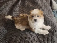 processed/d556be42-26da-4a87-aa8f-3d16c617ad93/listing/581f1cc5-20cc-42e0-8903-7dce69e14e8a/39908725-662d-4888-a5d3-137372c6645e