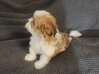 processed/d556be42-26da-4a87-aa8f-3d16c617ad93/listing/581f1cc5-20cc-42e0-8903-7dce69e14e8a/bdfd588b-1484-450f-acef-45d639a84108