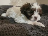 processed/d556be42-26da-4a87-aa8f-3d16c617ad93/listing/9a36b284-44d6-4ca2-b816-f80edf299d2b/4166c856-4a38-4f37-8d08-003f9157e576