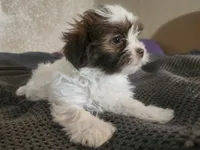 processed/d556be42-26da-4a87-aa8f-3d16c617ad93/listing/9a36b284-44d6-4ca2-b816-f80edf299d2b/477db184-50c6-433a-9ead-5e5dc6285e9f