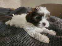 processed/d556be42-26da-4a87-aa8f-3d16c617ad93/listing/9a36b284-44d6-4ca2-b816-f80edf299d2b/5299f8ea-85ce-457d-abac-e5b969529071