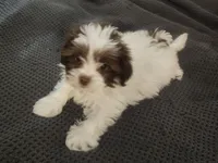 processed/d556be42-26da-4a87-aa8f-3d16c617ad93/listing/9a36b284-44d6-4ca2-b816-f80edf299d2b/6a386312-106a-46eb-8534-169d8fb8865e