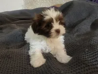 processed/d556be42-26da-4a87-aa8f-3d16c617ad93/listing/9a36b284-44d6-4ca2-b816-f80edf299d2b/c9ed12ba-6ae6-4ed8-9236-005ca475877d