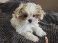 processed/d556be42-26da-4a87-aa8f-3d16c617ad93/listing/9c42c684-0e97-4fc0-a84b-d9c1d7485598/35171e3b-8237-4feb-a333-b05ce8ab5bb8