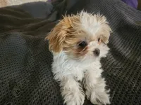 processed/d556be42-26da-4a87-aa8f-3d16c617ad93/listing/9c42c684-0e97-4fc0-a84b-d9c1d7485598/39cee088-c95f-4a27-b7e2-9c137bccecb2