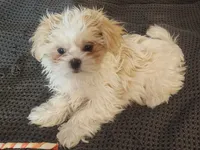 processed/d556be42-26da-4a87-aa8f-3d16c617ad93/listing/9c42c684-0e97-4fc0-a84b-d9c1d7485598/a2aa1fe9-b72d-4490-bace-027a5fcbbb9d