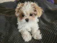 processed/d556be42-26da-4a87-aa8f-3d16c617ad93/listing/9c42c684-0e97-4fc0-a84b-d9c1d7485598/a8fe062f-7690-4d05-950b-30820b809be1