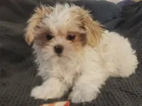 processed/d556be42-26da-4a87-aa8f-3d16c617ad93/listing/9c42c684-0e97-4fc0-a84b-d9c1d7485598/b1f4bae1-115e-4ff4-a044-2d216747929d