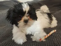 processed/d556be42-26da-4a87-aa8f-3d16c617ad93/listing/d2e9fe7e-a9a8-477d-8caa-3521e3b773e9/648fa76f-cef7-4f96-a728-c1da5c28ca06