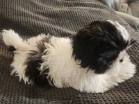 processed/d556be42-26da-4a87-aa8f-3d16c617ad93/listing/d2e9fe7e-a9a8-477d-8caa-3521e3b773e9/ac3919f0-1b02-4a0b-8156-7486f1904504