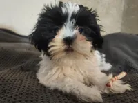 processed/d556be42-26da-4a87-aa8f-3d16c617ad93/listing/d2e9fe7e-a9a8-477d-8caa-3521e3b773e9/bb574d67-af0e-4e3f-adb9-b8b5f86f8d49